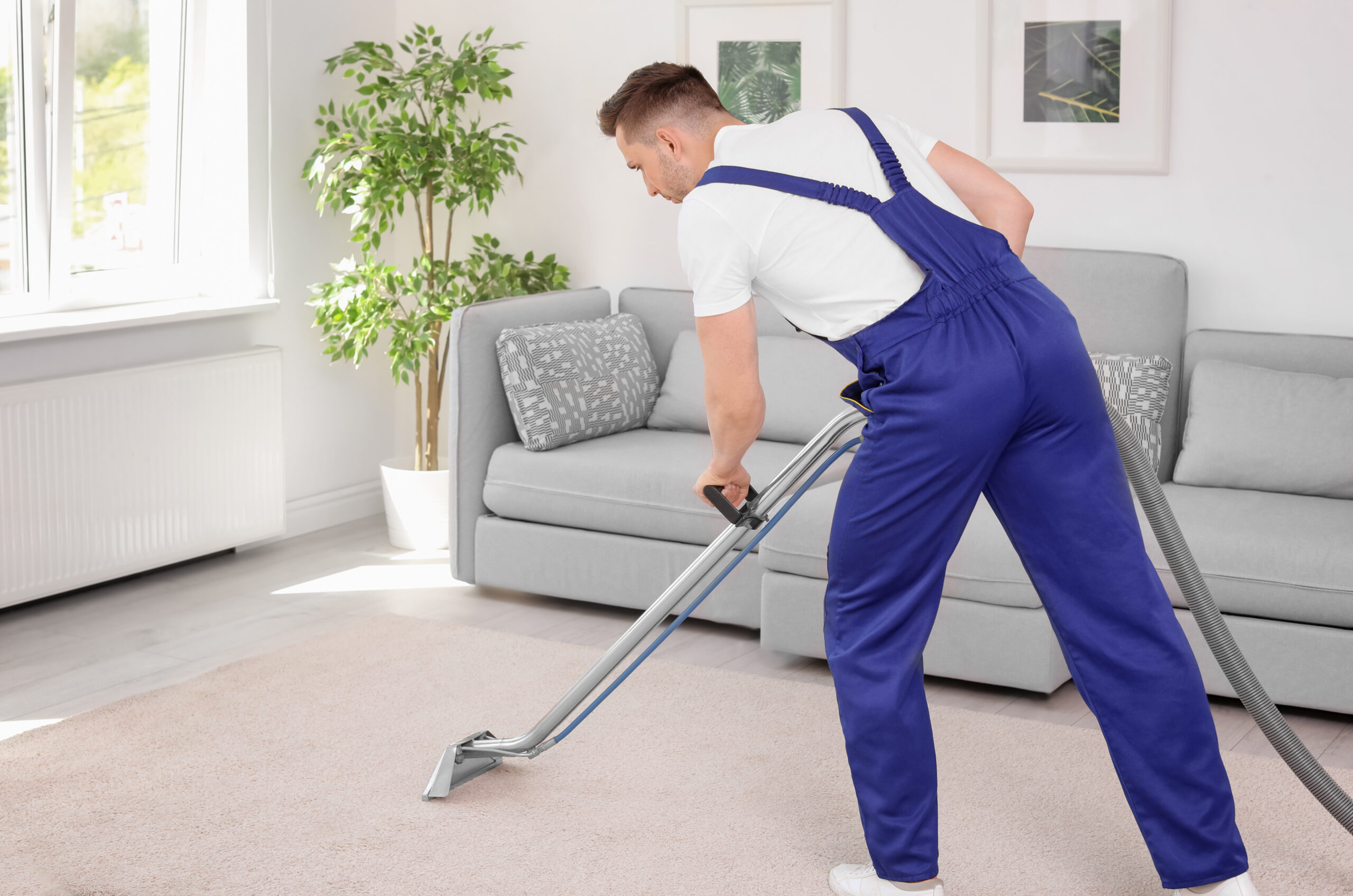 Google Ads -Carpet & Rug Cleaning Co.