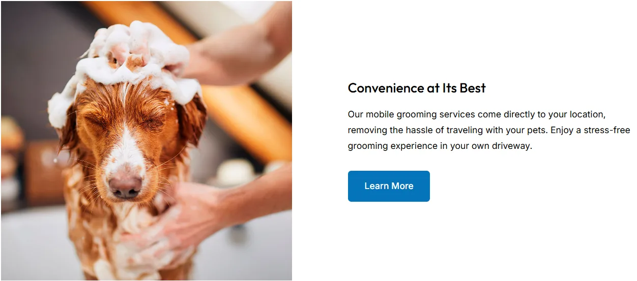 Website Design: Pet Boarding & Grooming Business