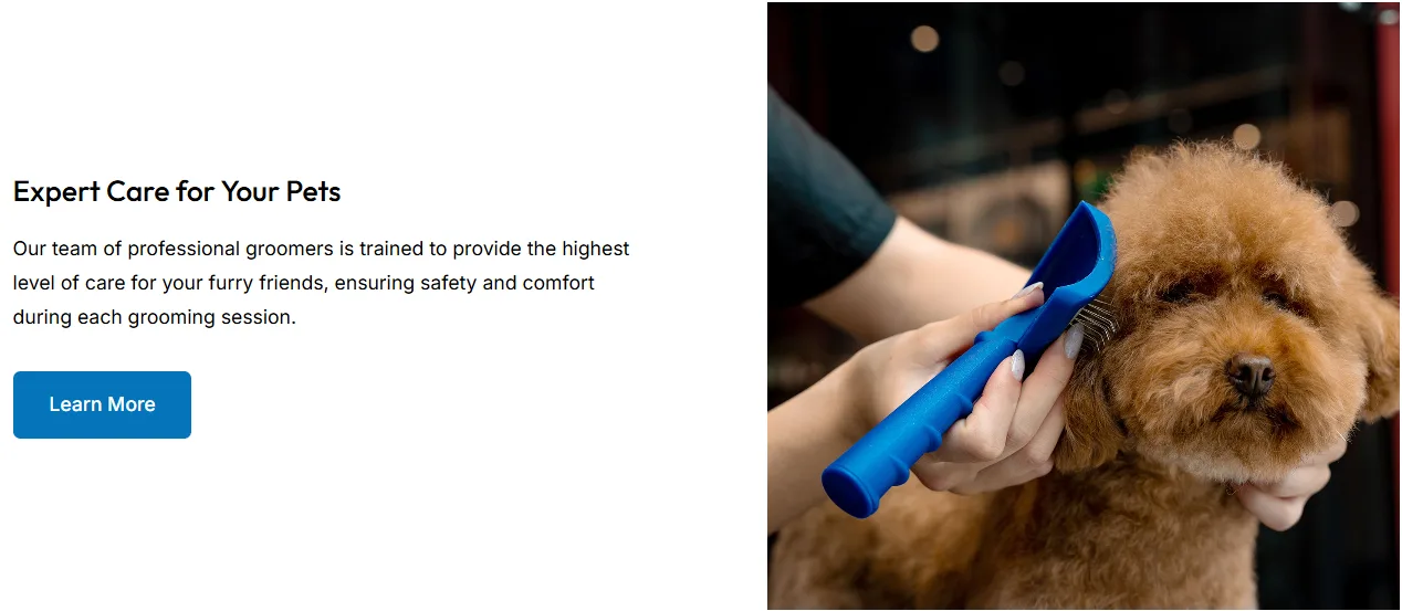 Website Design: Pet Boarding & Grooming Business