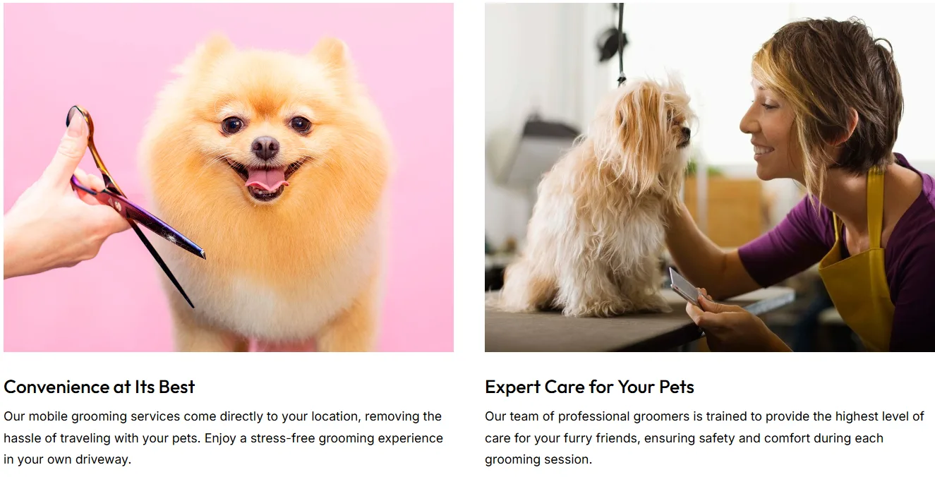 Website Design: Pet Boarding & Grooming Business