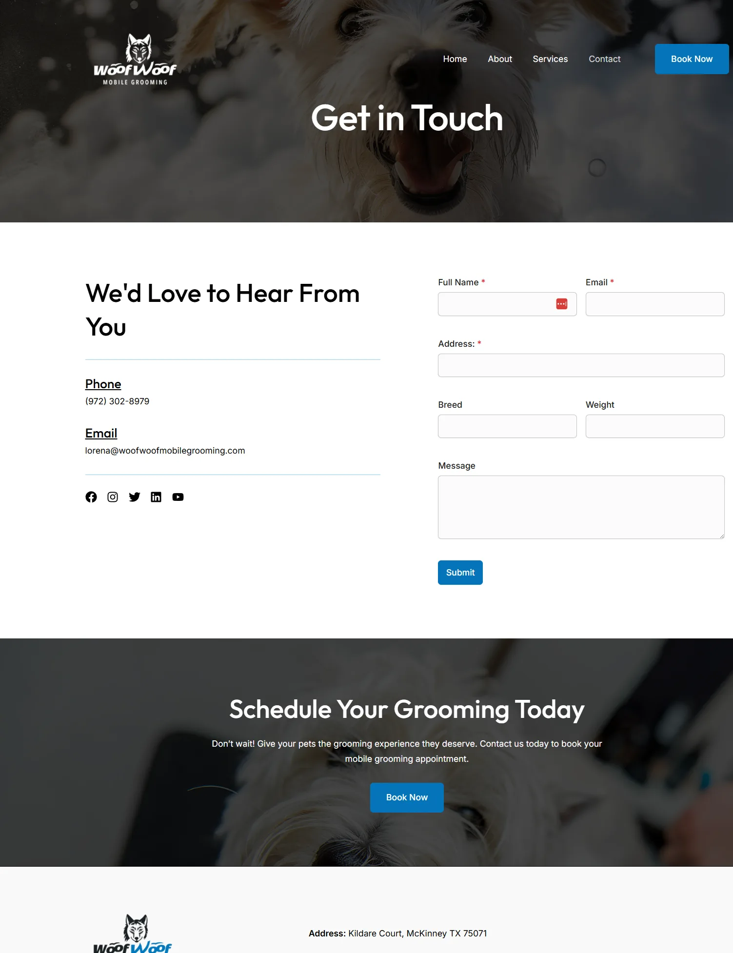 Website Design: Pet Boarding & Grooming Business