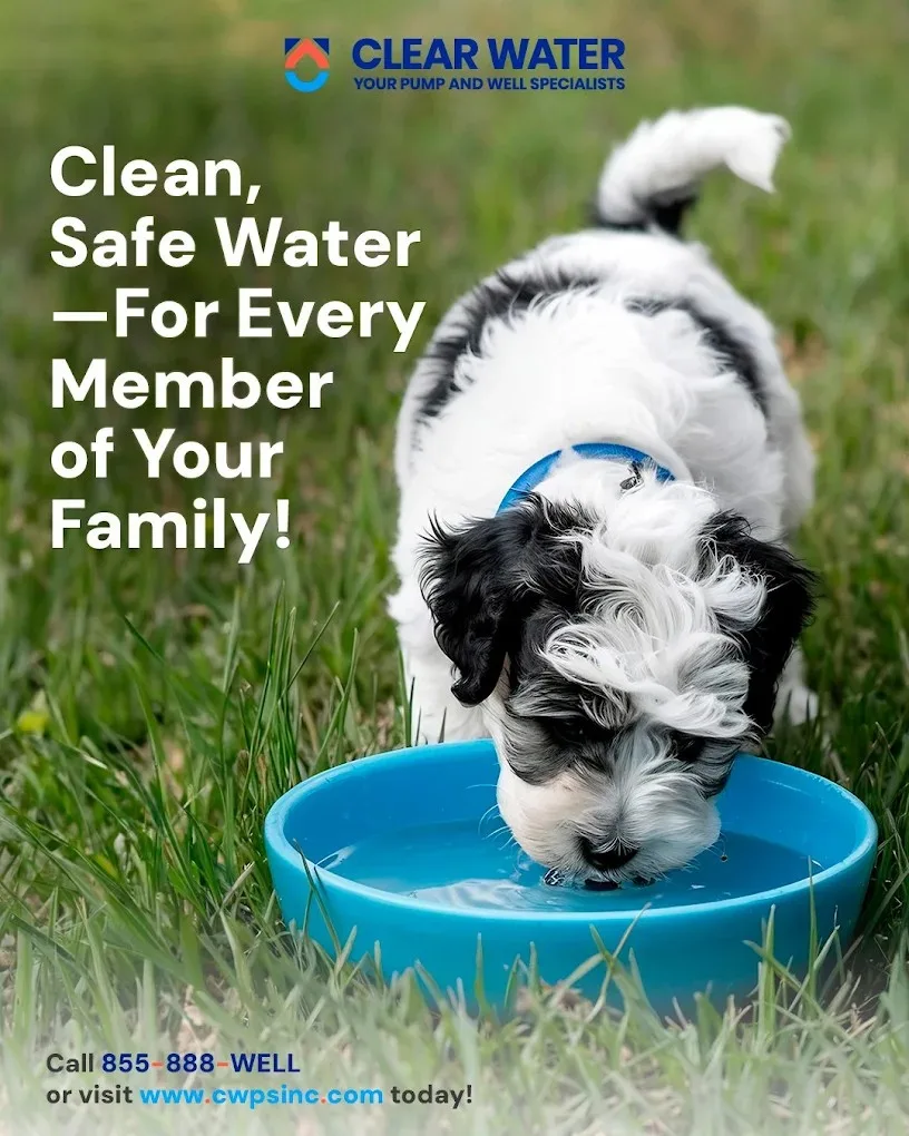 Google Business Profile Strategy for Well Drilling & Water Filtration