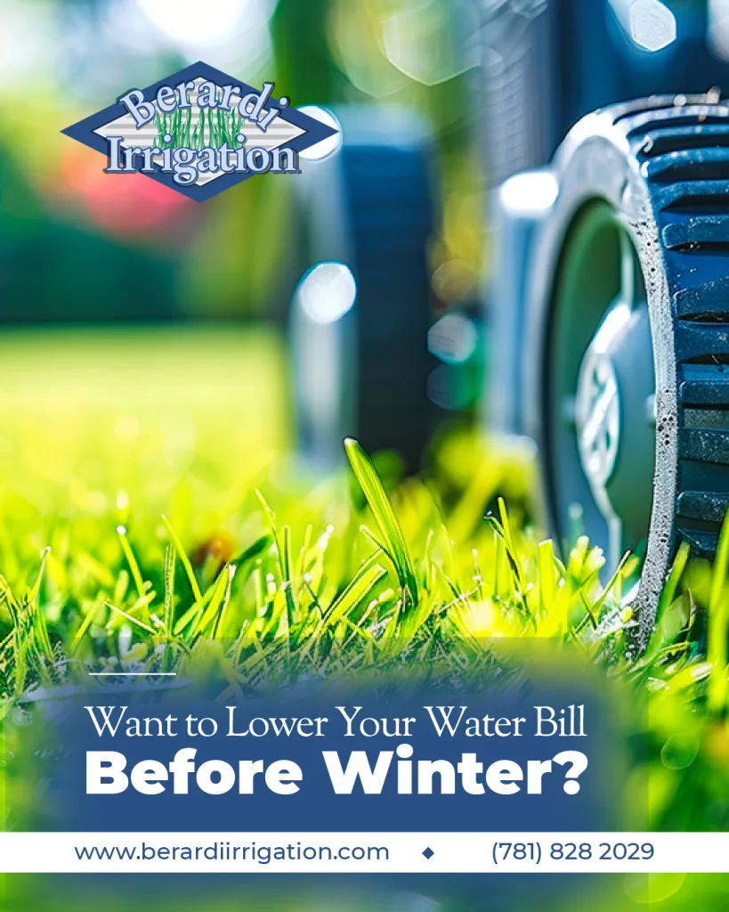 Social Media Marketing: Berardi Irrigation & Landscape Lighting