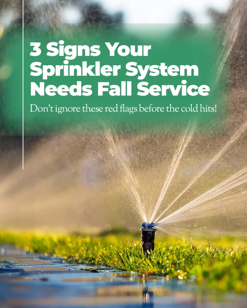 Social Media Marketing: Berardi Irrigation & Landscape Lighting